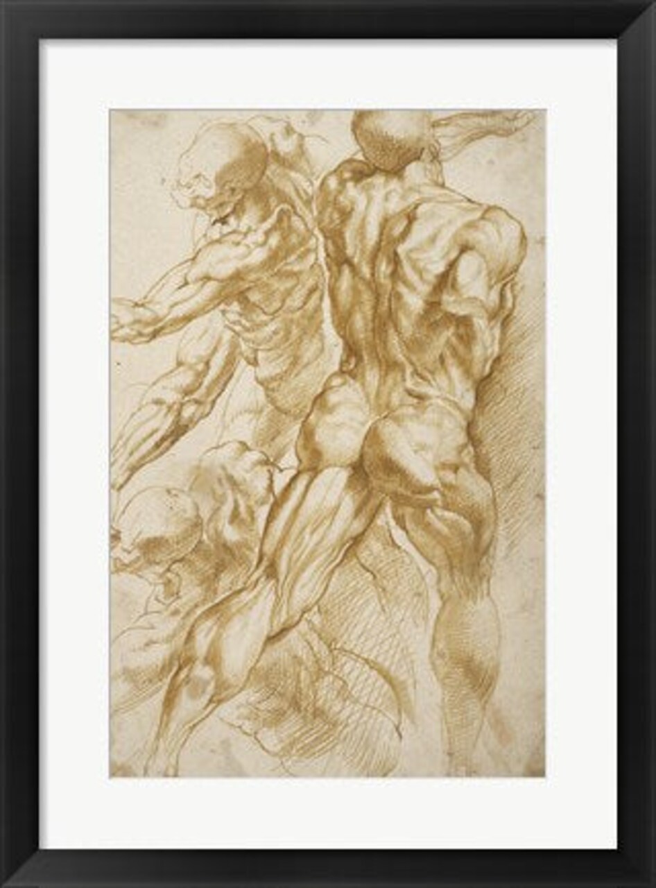 Framed Art Anatomical Studies by Peter Paul Rubens Wall Decor 18x24 Artwork